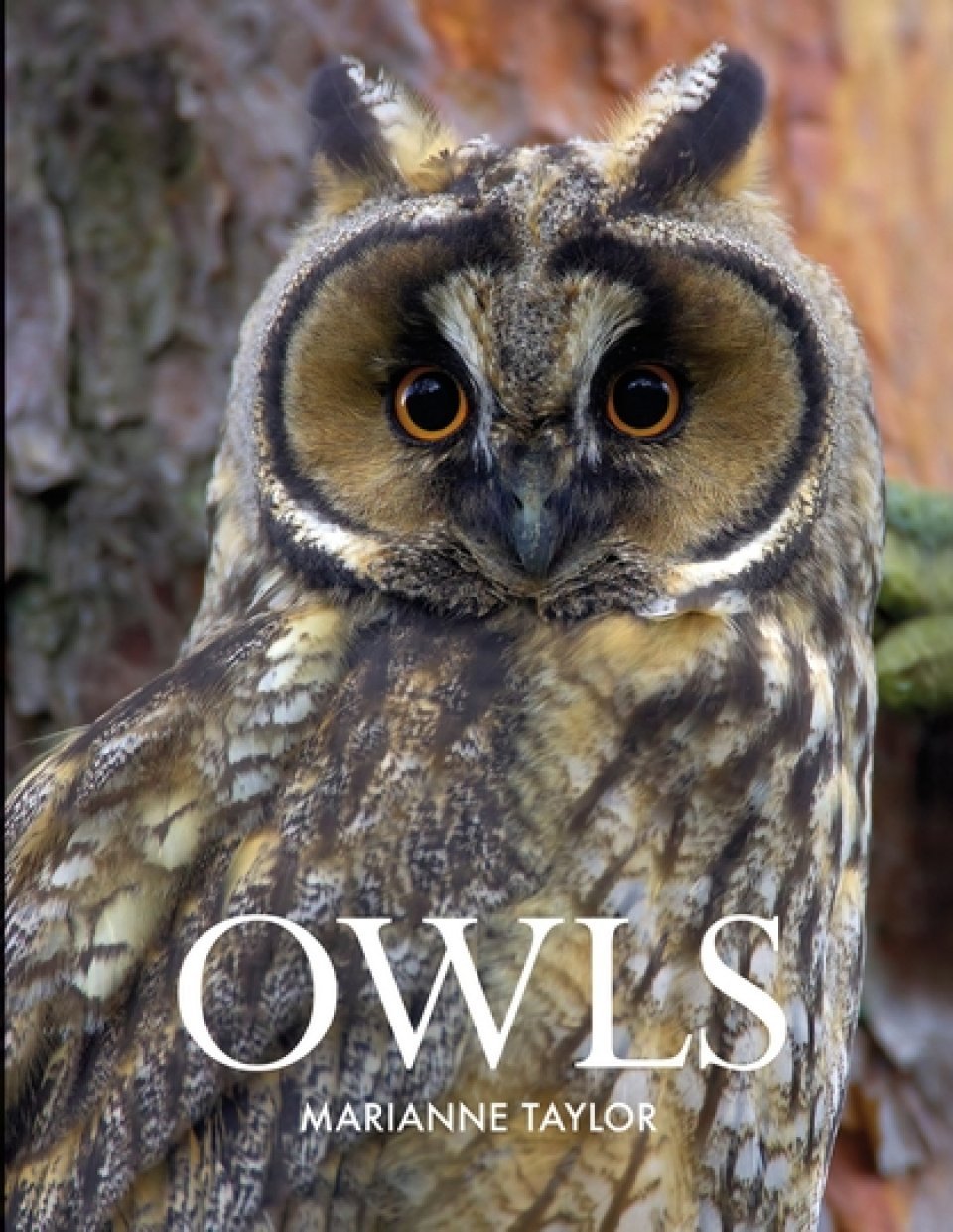 owls