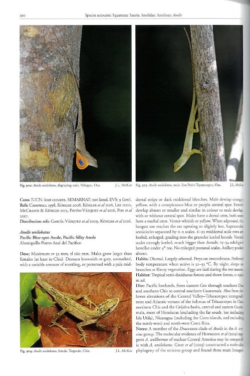 reptiles of oaxaca. turtles, crocodiles, lizards and snakes of mexico's most biodiverse state