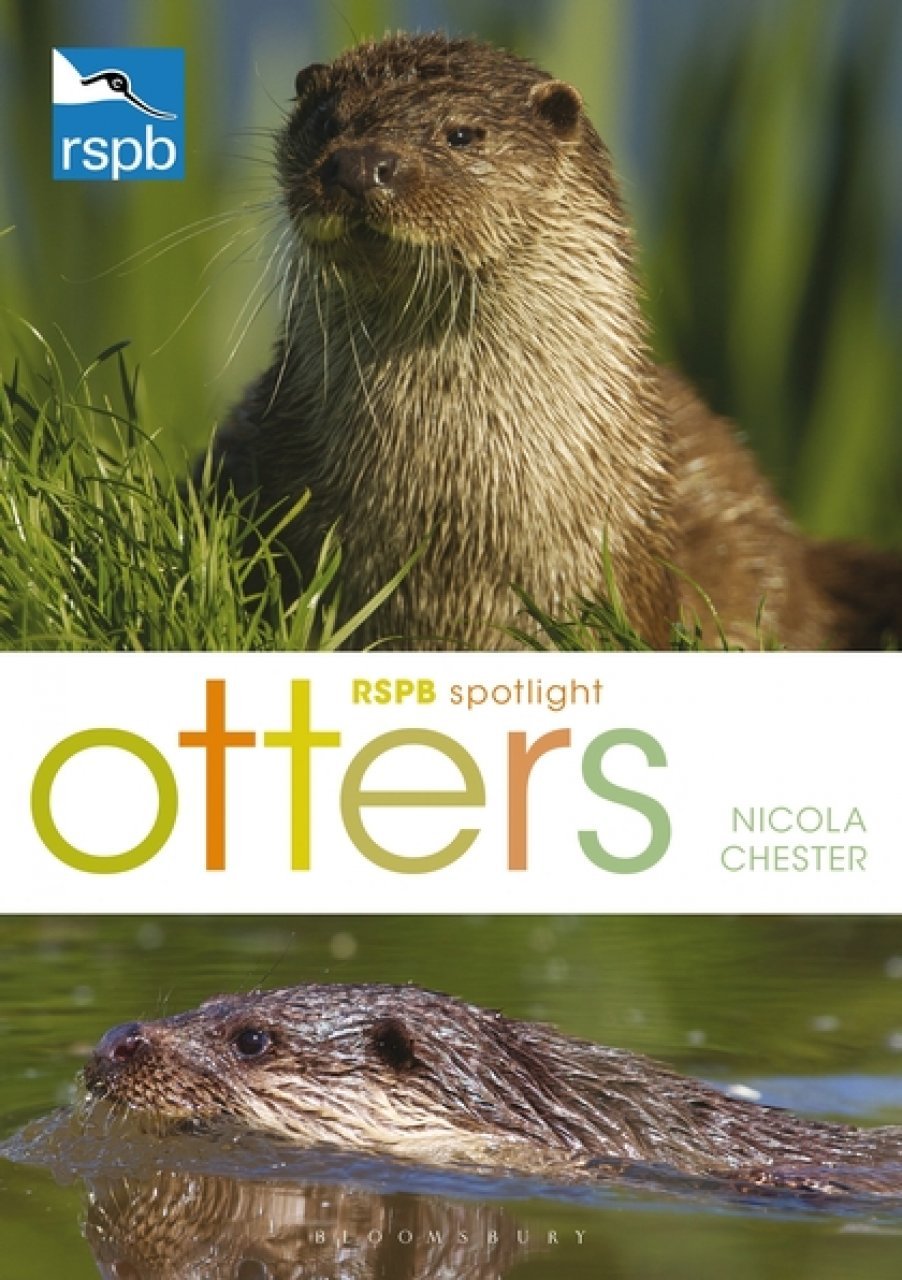 rspb spotlight: otters