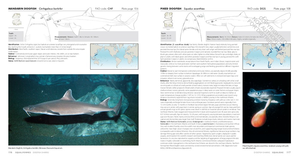 sharks of the world. a complete guide