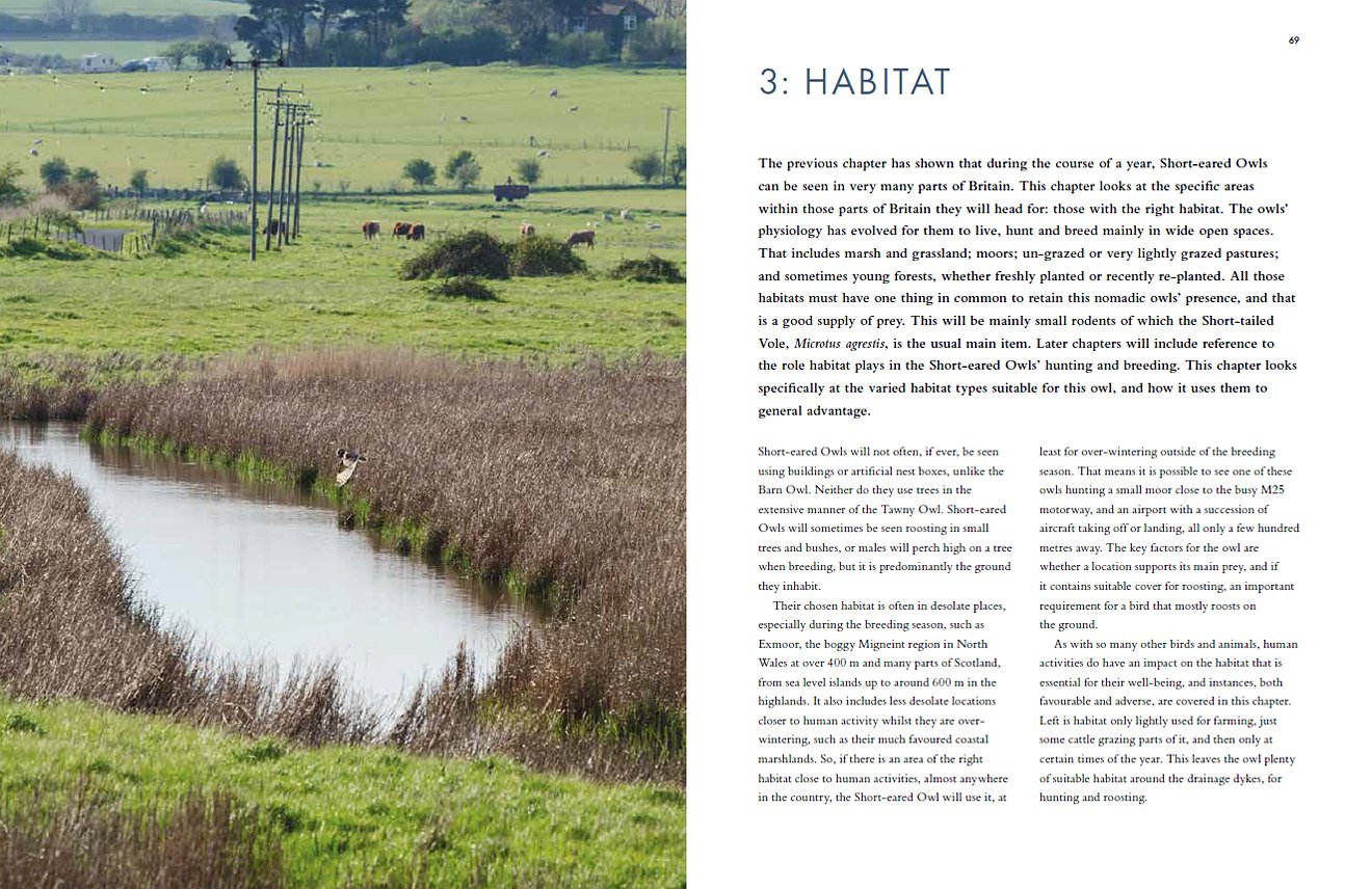 short-eared owls. an extensive study of short-eared owls in britain