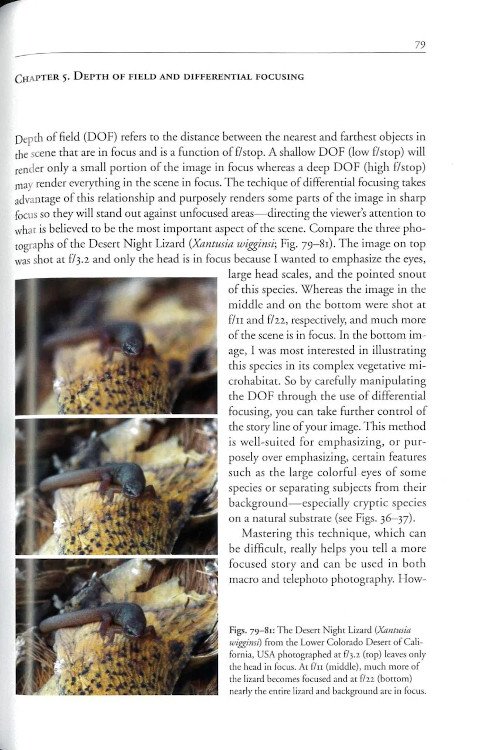 techniques for photographing reptiles and amphibians in the field. how to tell better stories