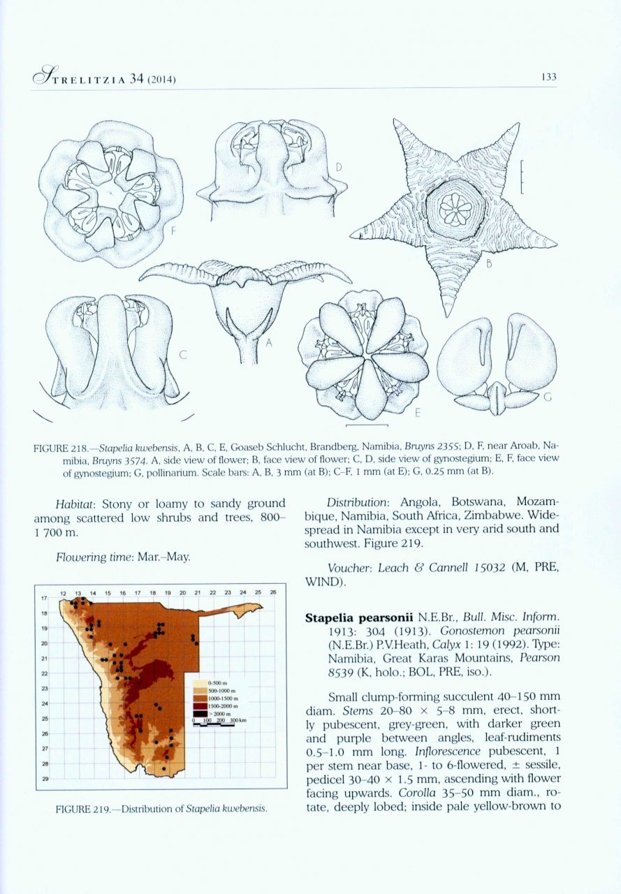 the apocynaceae of namibia