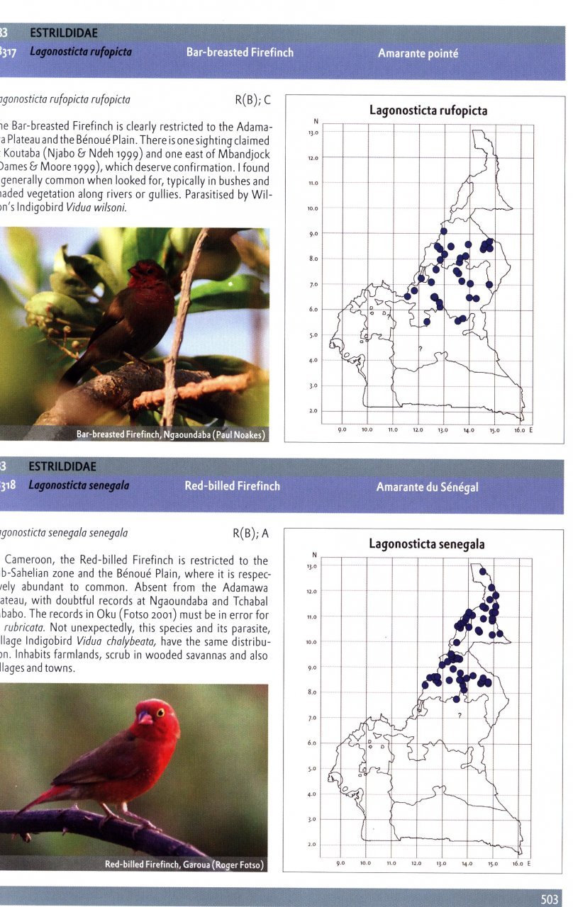 the birds of cameroon. their status and distribution