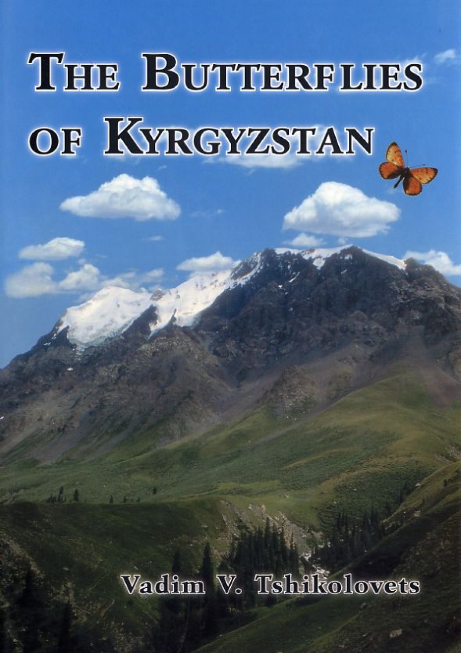 the butterflies of kyrgyzstan