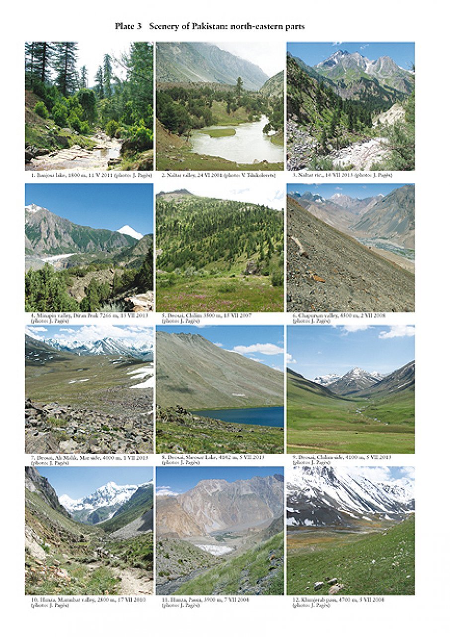 the butterflies of pakistan