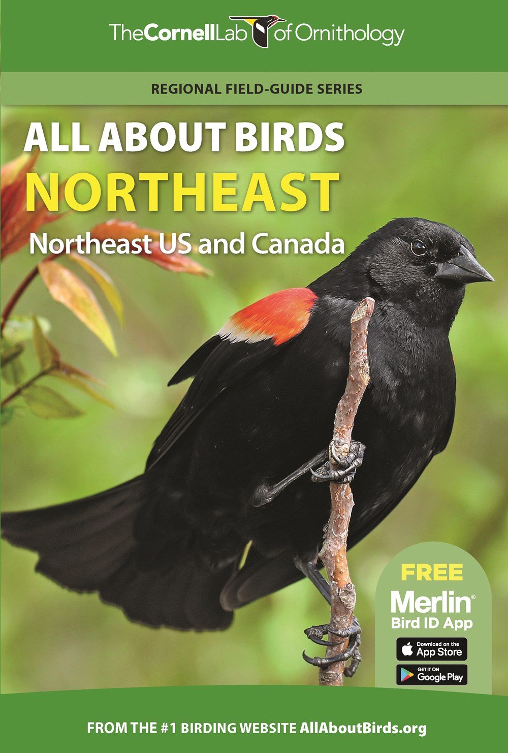 the cornell lab of ornithology. regional field guide series. all about birds northeast: northeast us and canada