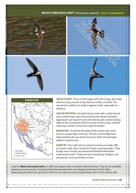 the cornell lab of ornithology. regional field guide series. all about birds northwest: northwest us and canada