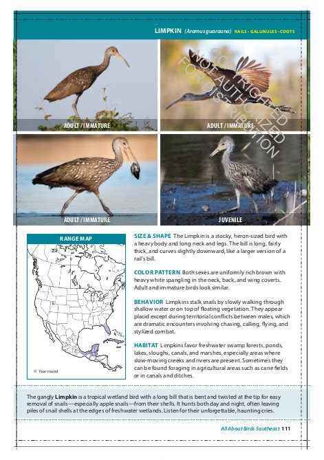 the cornell lab of ornithology. regional field guide series. all about birds southeast