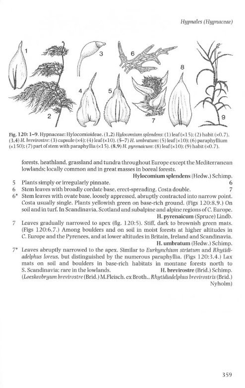 the liverworts, mosses and ferns of europe