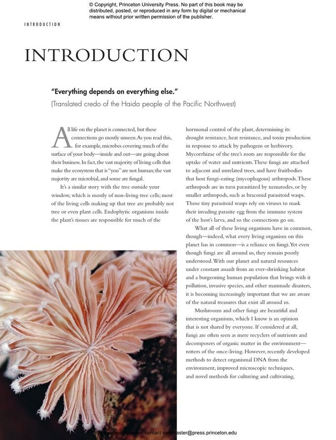 the lives of fungi. a natural history of our planet's decomposers