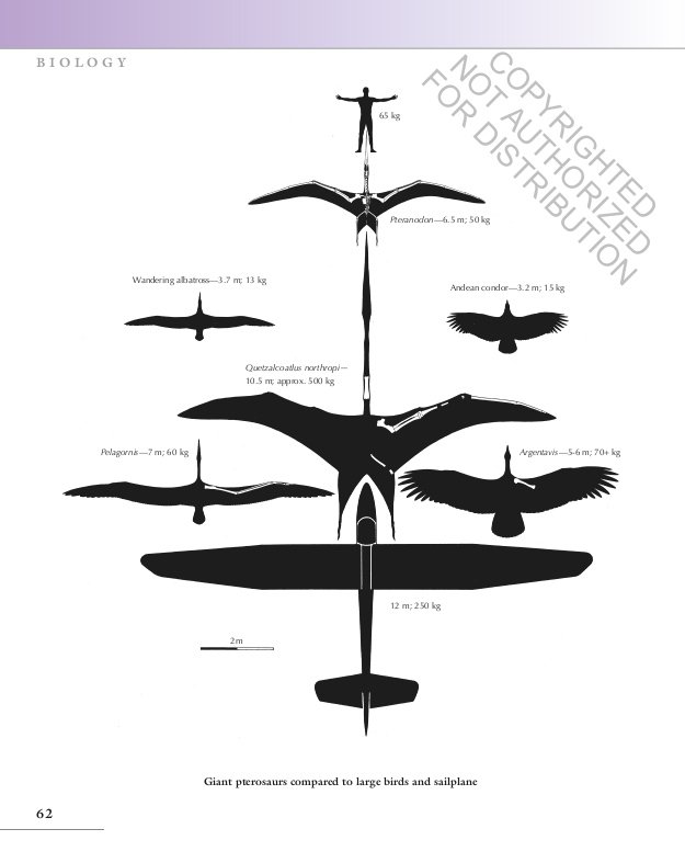 the princeton field guide to pterosaurs