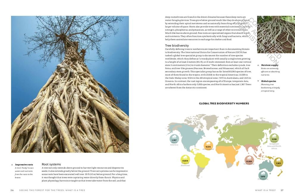 the world atlas of trees and forests. exploring earth's forest ecosystems
