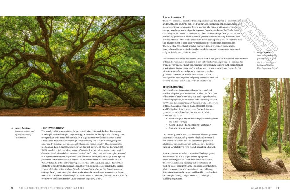 the world atlas of trees and forests. exploring earth's forest ecosystems