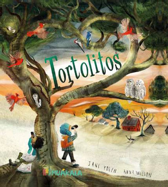 tortolitos