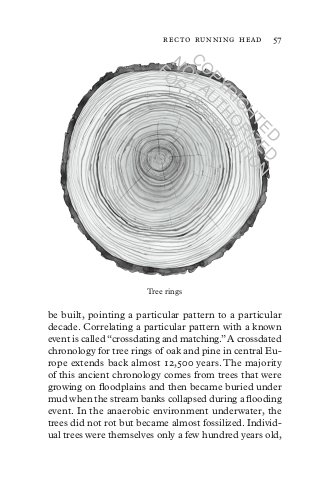 treepedia. a brief compendium of arboreal lore