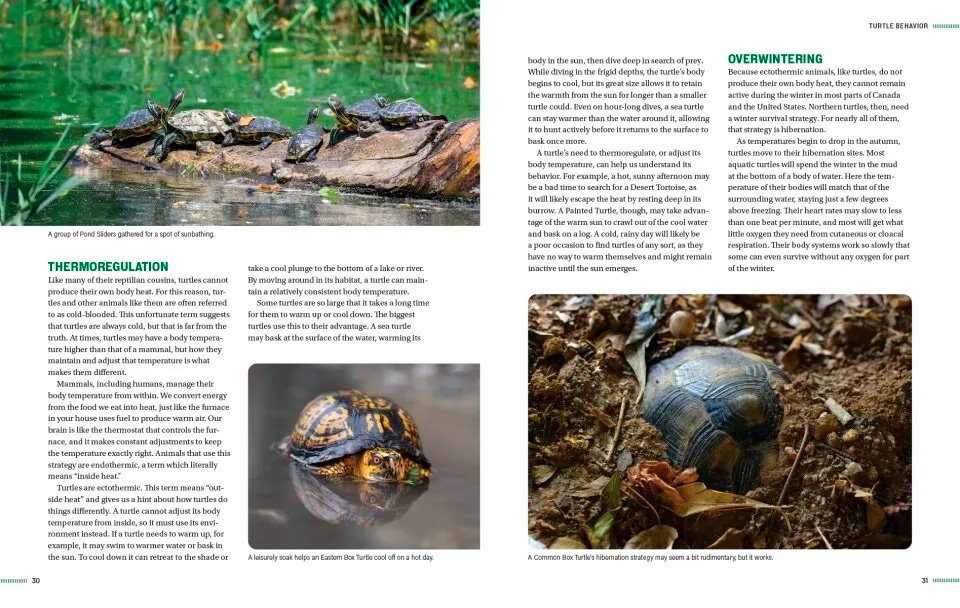 turtles of north america. an illustrated field guide to the turtles of the continental united states and canada