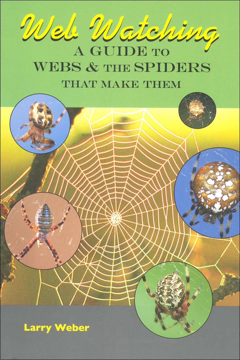 web watching: a guide to webs & the spiders that make them
