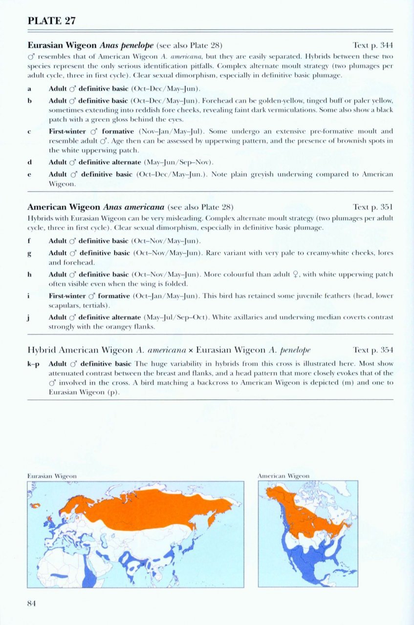 wildfowl of europe, asia and north america
