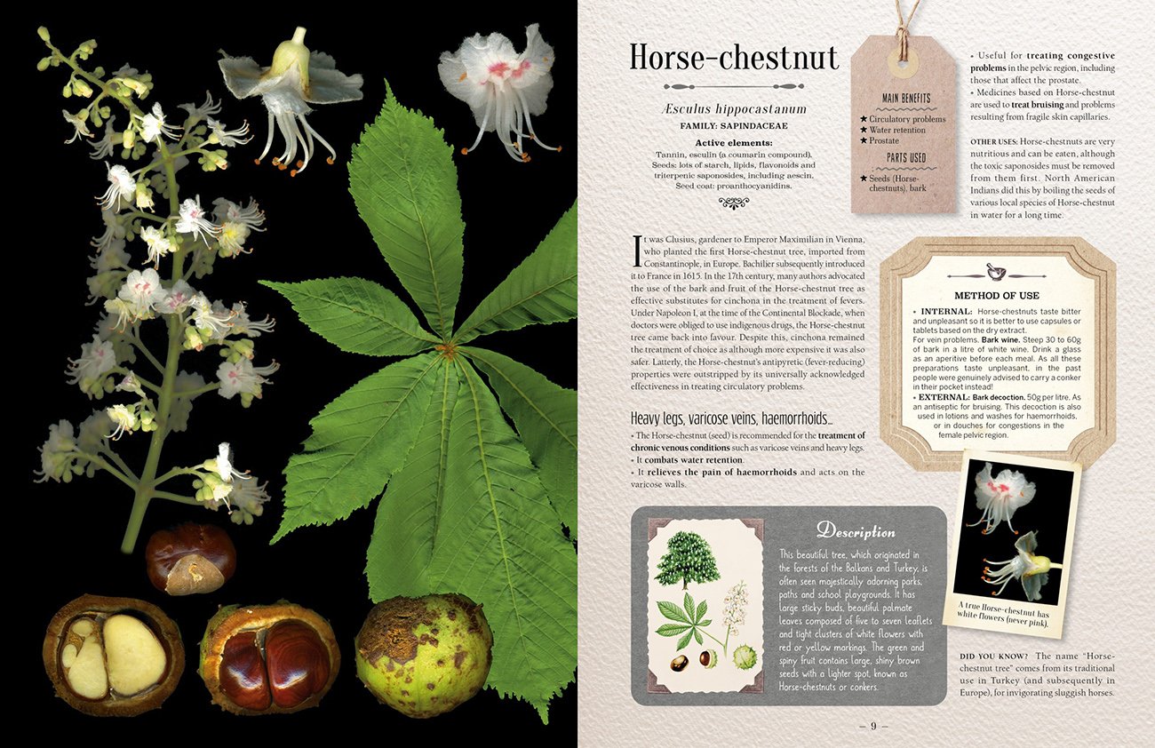 100 plants that heal. the illustrated herbarium of medicinal plants