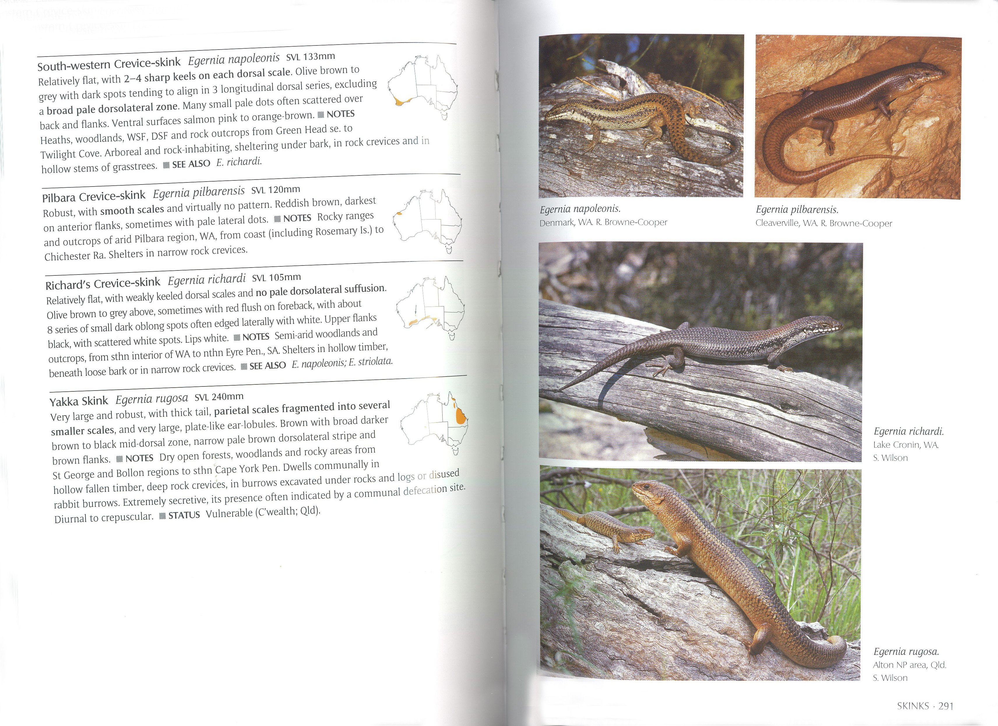 a complete guide to reptiles of australia