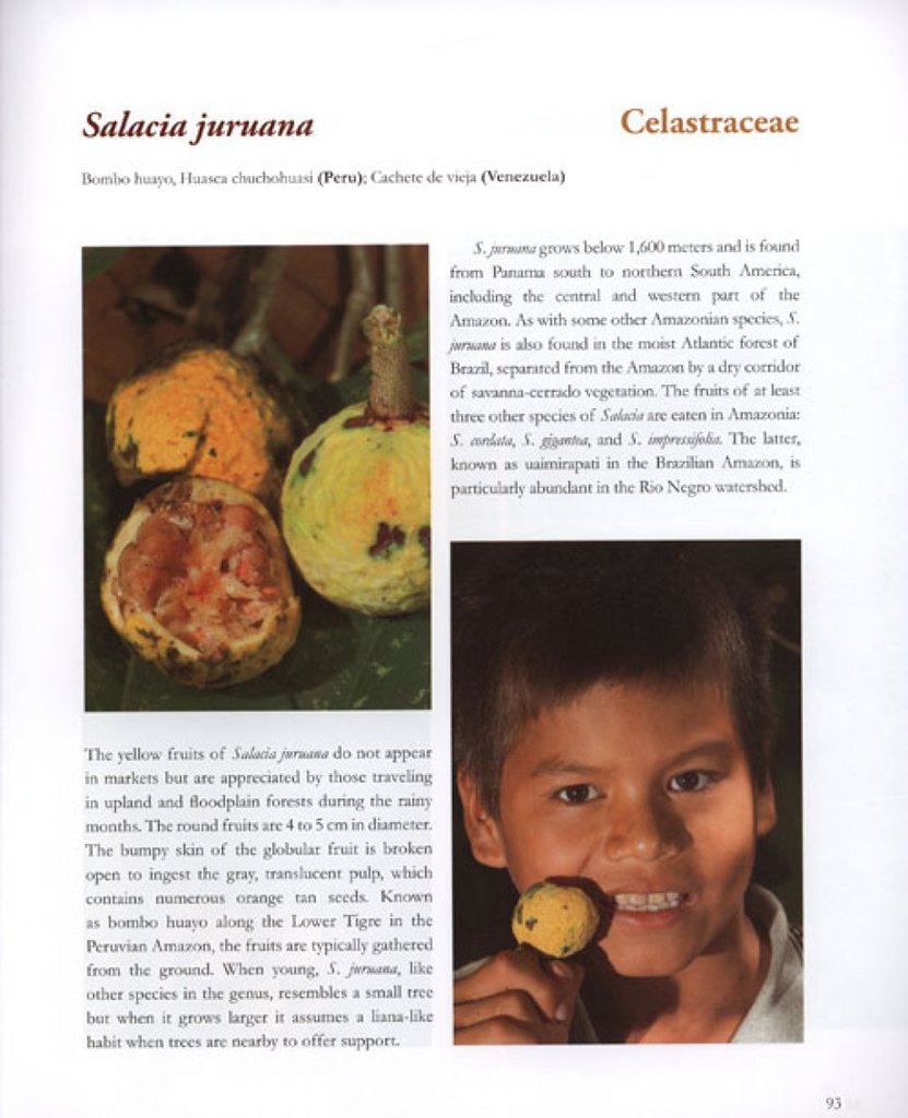 amazon river fruits. flavors for conservation