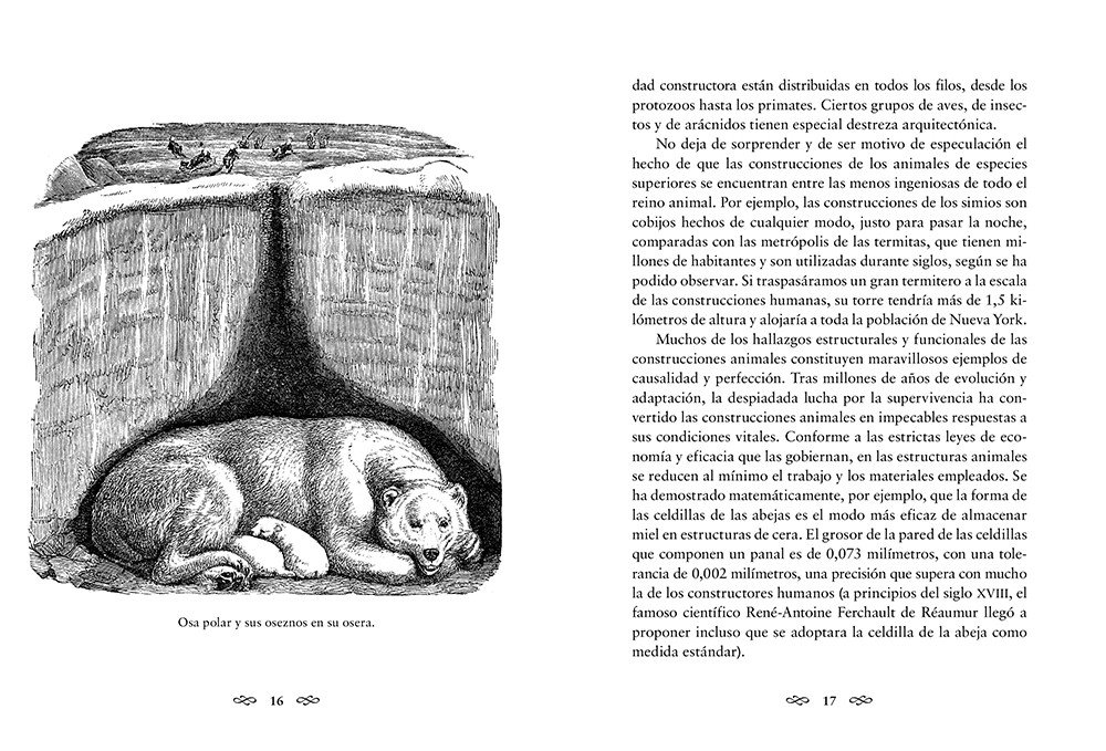 animales arquitectos