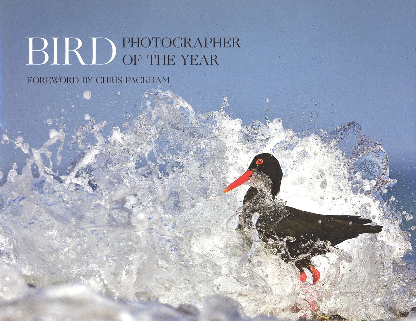 bird photographer of the year: collection 5