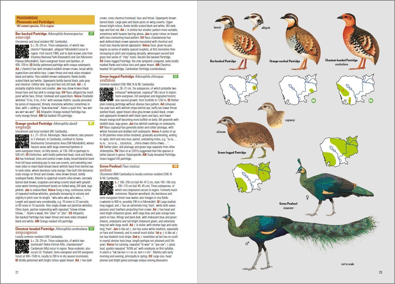 birds of cambodia