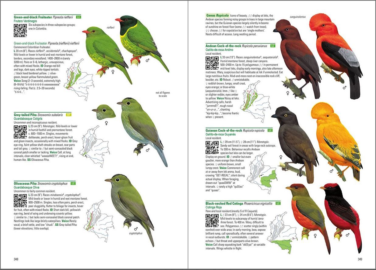 birds of colombia