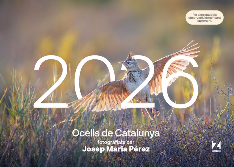 calendari mapzine 2026 ocells de catalunya