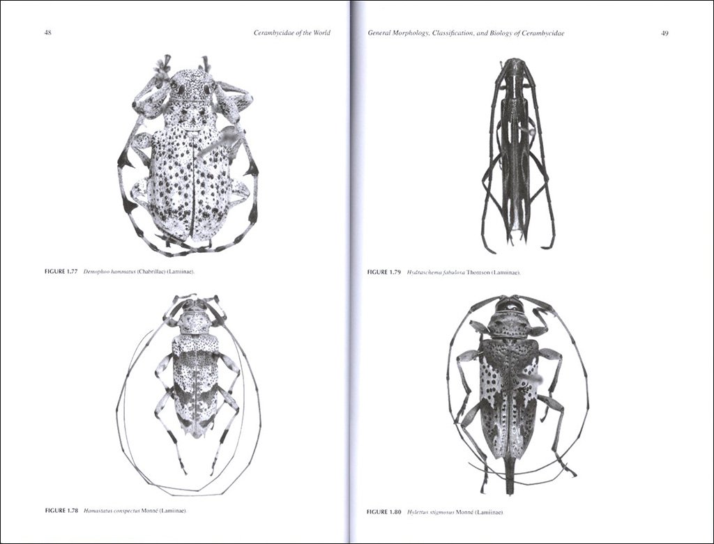 cerambycidae of the world: biology and pest management