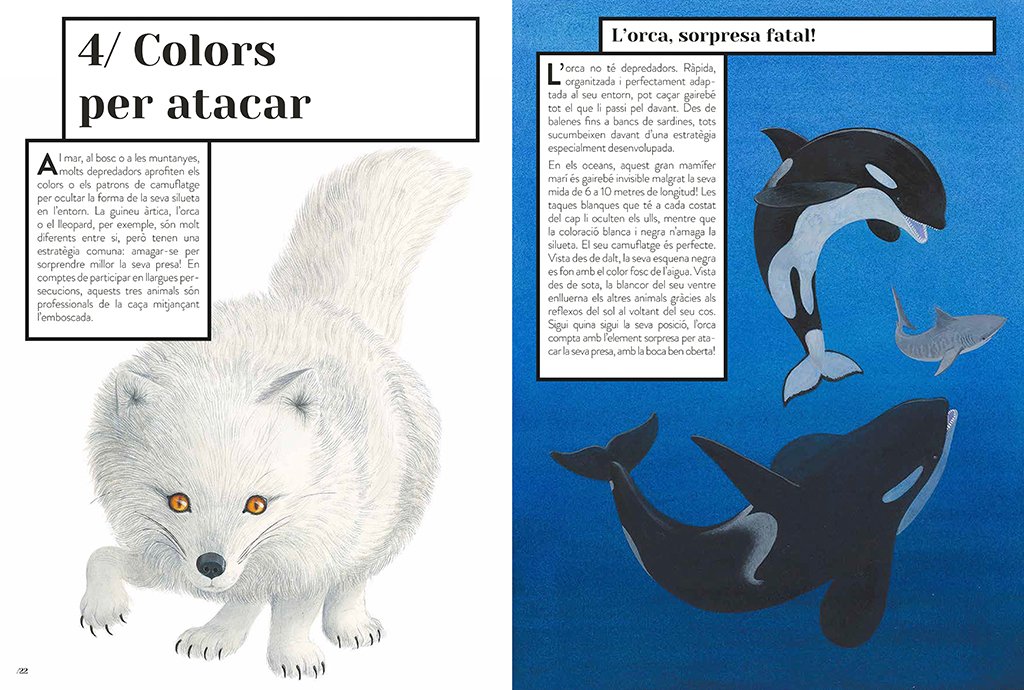 color animal