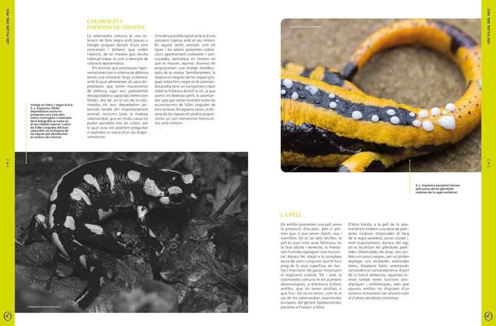 oryx, la revista de l'amant de la natura. nmero 03. versi impresa en catal.