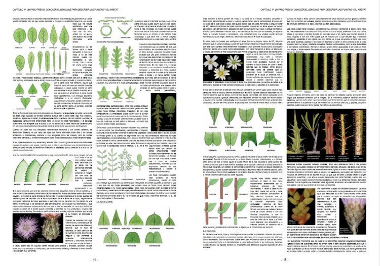 plantas silvestres de espaa peninsular. gua fotogrfica y claves para su identificacin
