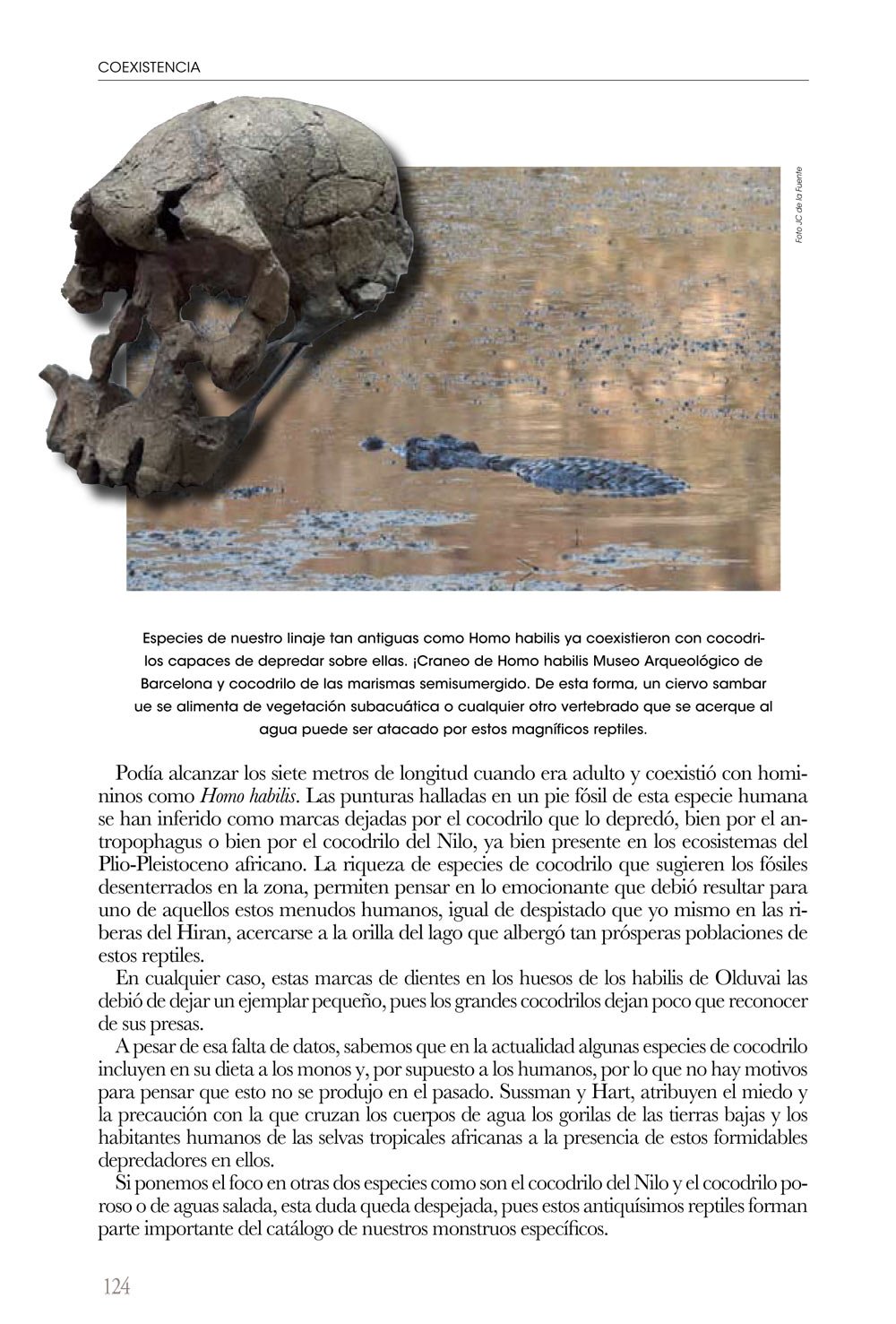 coexistencia. un viaje por las relaciones entre carnvoros y humanos