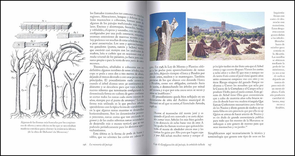la memoria del paisaje. pasado y futuro de un patrimonio comn