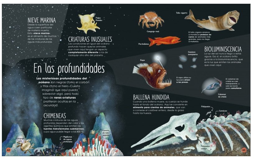 la vida secreta de los ocanos