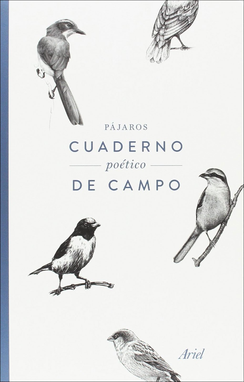 pack el ingenio de los pjaros