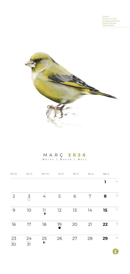 calendari d'ocells natura illustrada