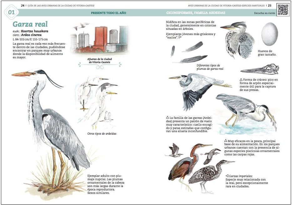 gua de aves urbanas de la ciudad de vitoria-gasteiz