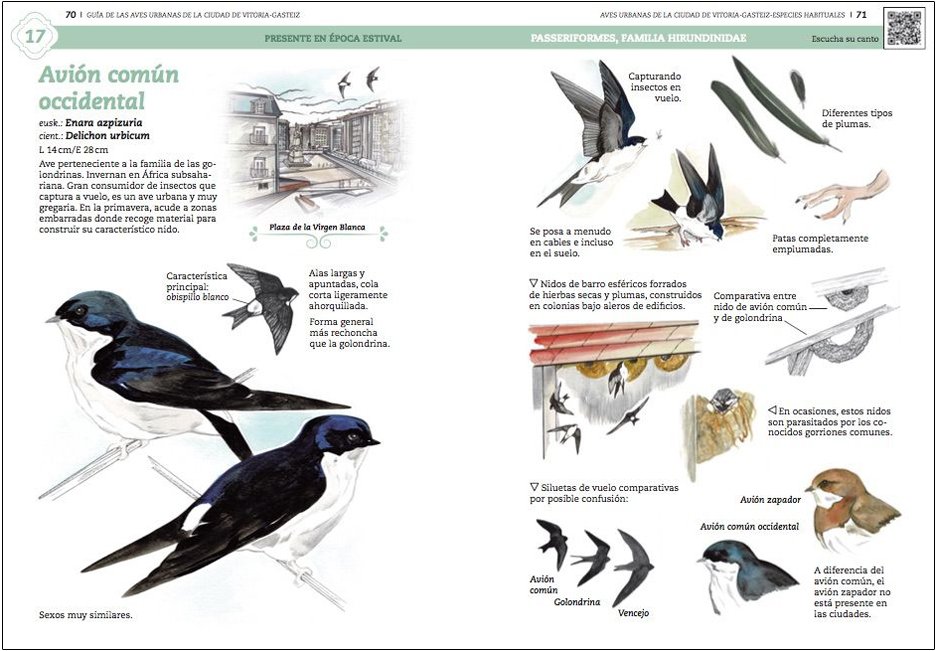 gua de aves urbanas de la ciudad de vitoria-gasteiz
