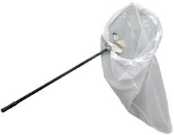 entomologa, frascos y material de diseccin