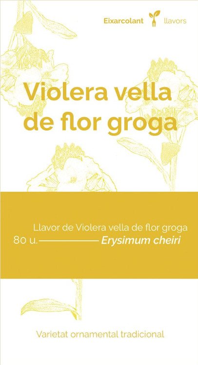 collectiu eixarcolant. violera vella de flor groga (erysimum cheiri). llavors de varietats agrcoles tradicionals