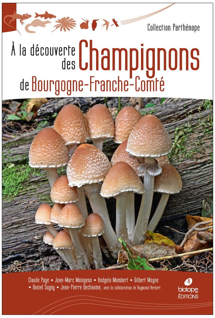 a la dcouverte des champignons de bourgogne-franche-comt