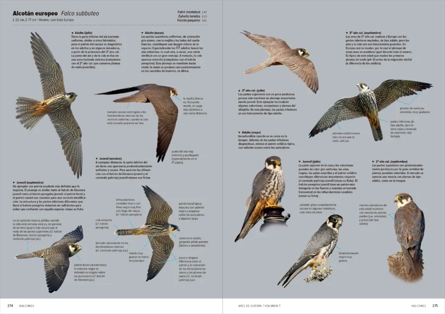 aves de europa. identificacin de todas las especies y plumajes (volumen 1 y 2)