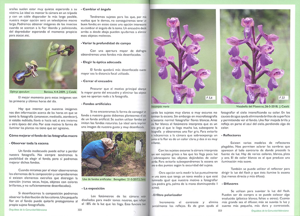 gua de las orqudeas de la comunitat valenciana