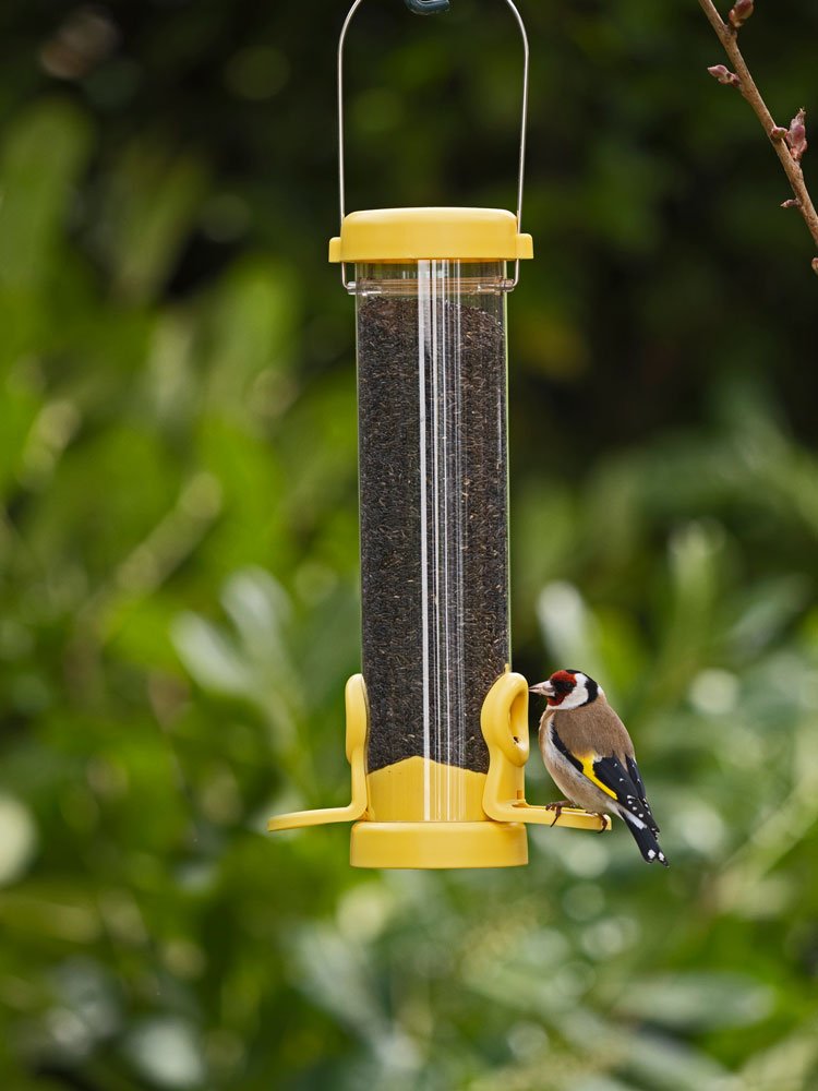 flo-n1y 'flo' comedero tubular para aves silvestres pequeo para semillas de negrillo de desmontaje fcil