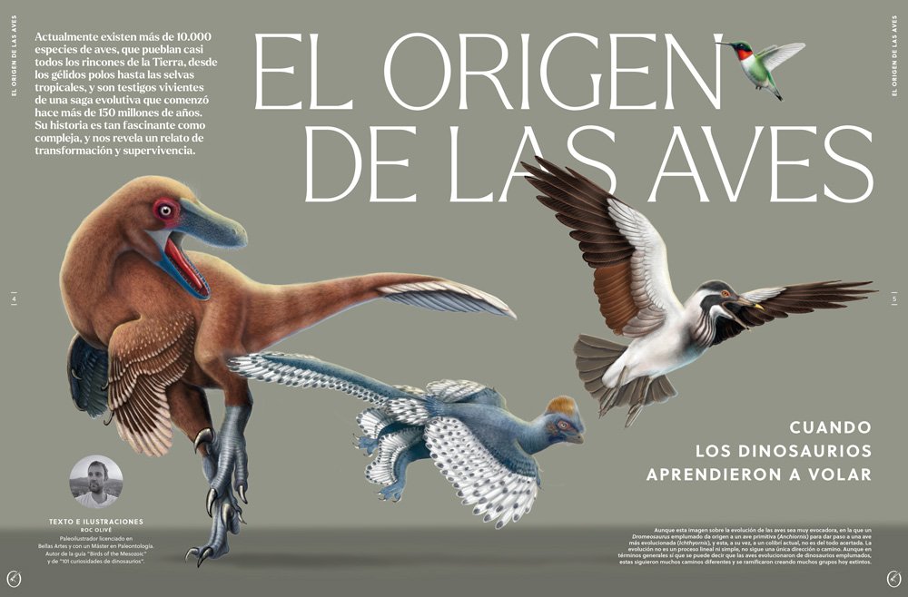 oryx, la revista del amante de la naturaleza. nmero 04. versin impresa en castellano.