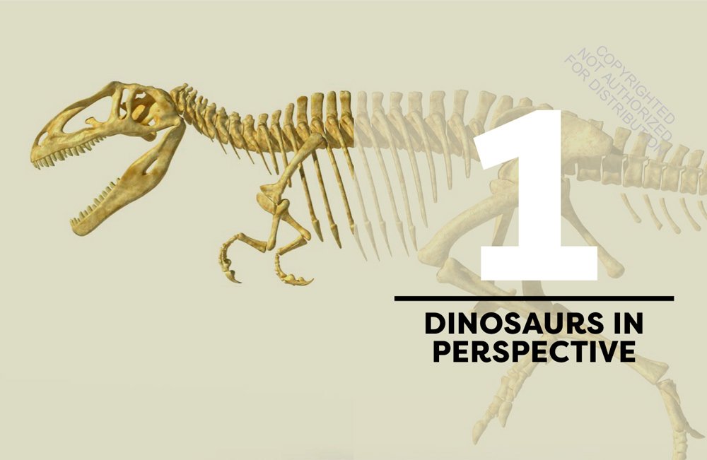 dinosaur behavior: an illustrated guide